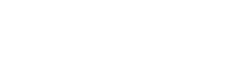 Steam